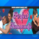 Perfect Housewife k4soft